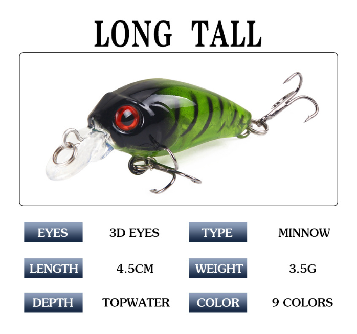 Crankbait Lure